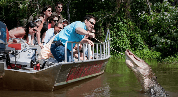Gators & Ghosts Swamp Tour